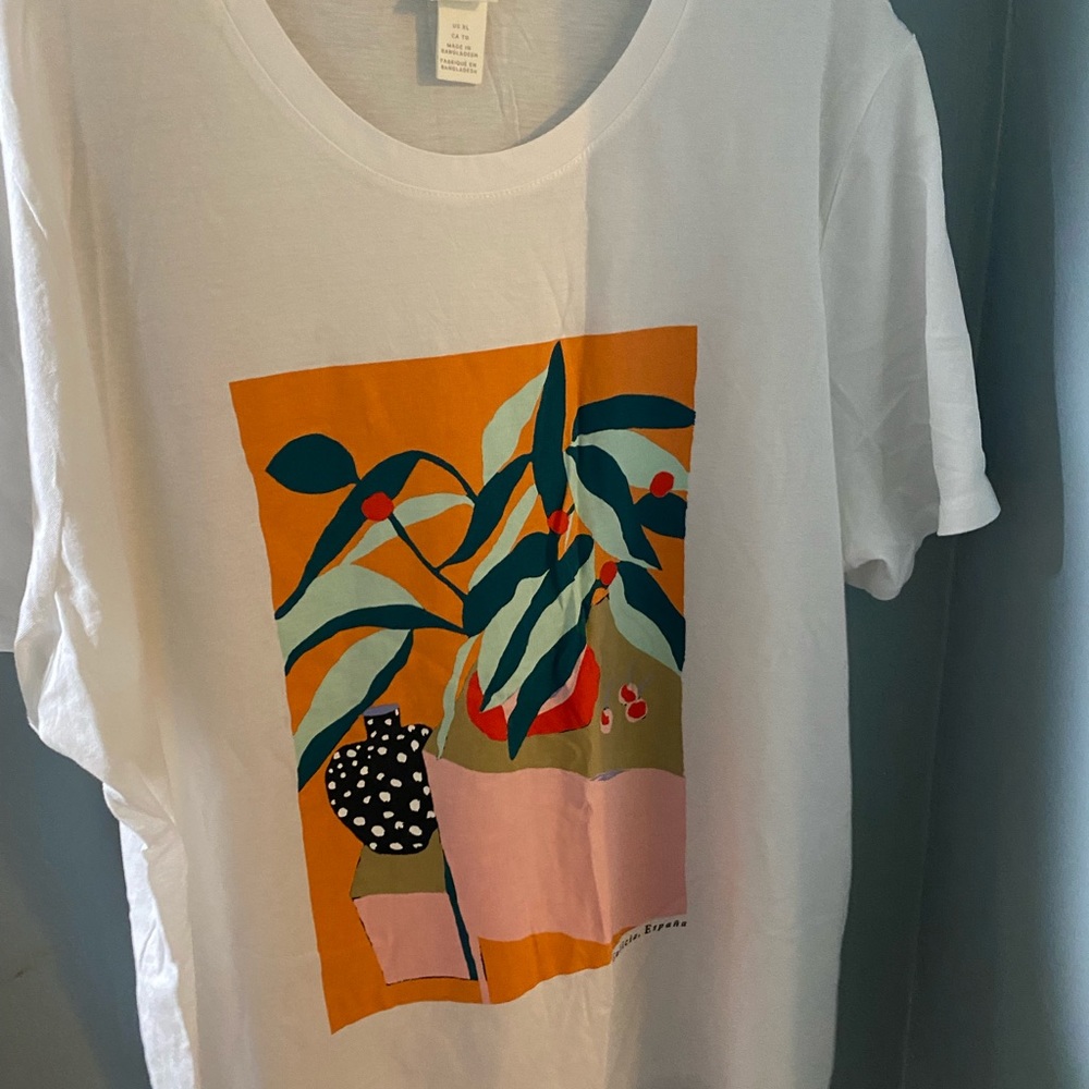 Tee shirt from H AND M. Worn only once